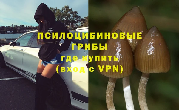 бутират Лиски