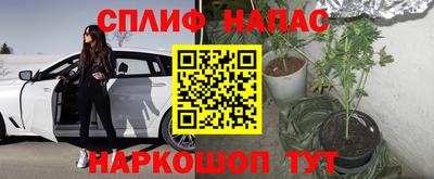 кокс Бийск