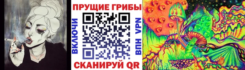 Псилоцибиновые грибы GOLDEN TEACHER  kraken зеркало  Кизилюрт 