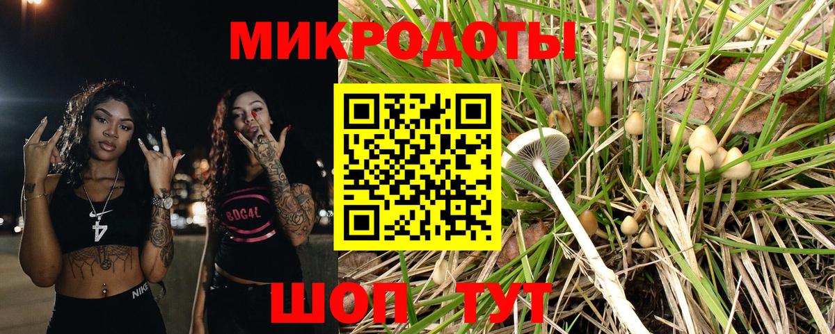 Галлюциногенные грибы Psilocybine cubensis  Вход с VPN  Псилоцибиновые грибы GOLDEN TEACHER  Кизилюрт 