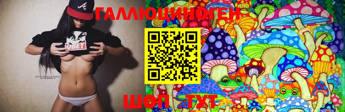 Псилоцибиновые грибы прущие грибы Кизилюрт